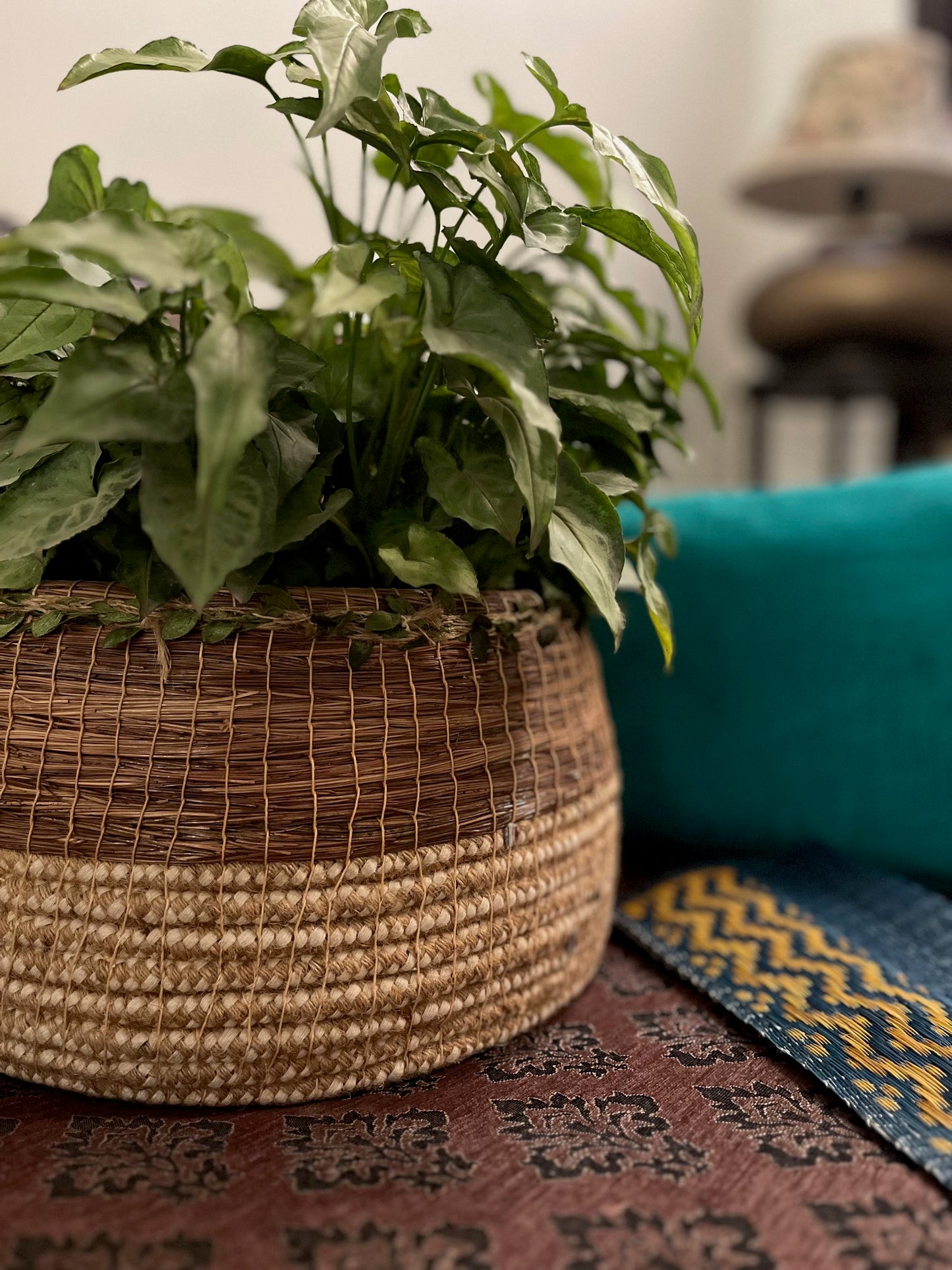 Bohemian Planter with Leafy Lace