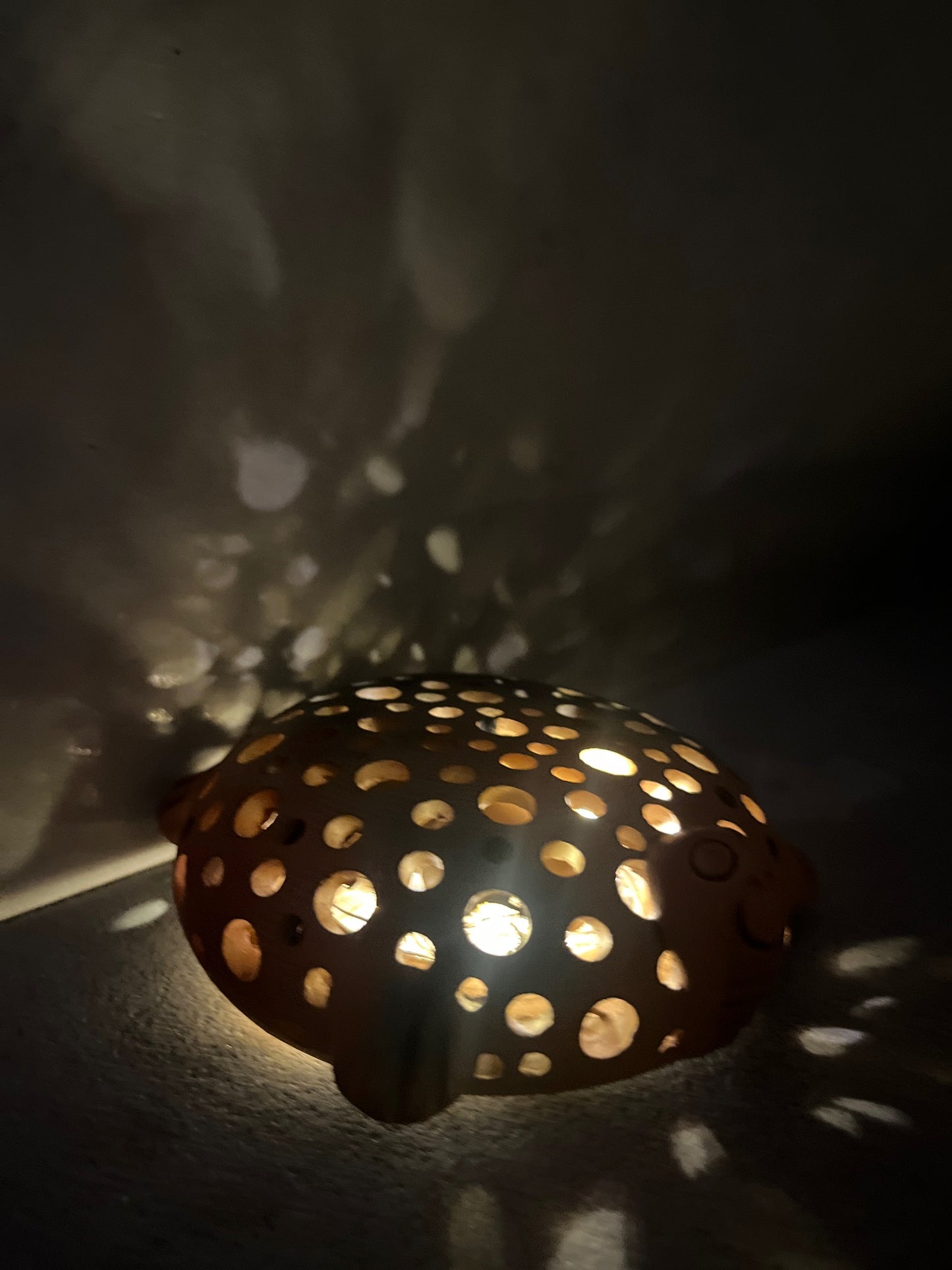 Tortoise T- light Holder