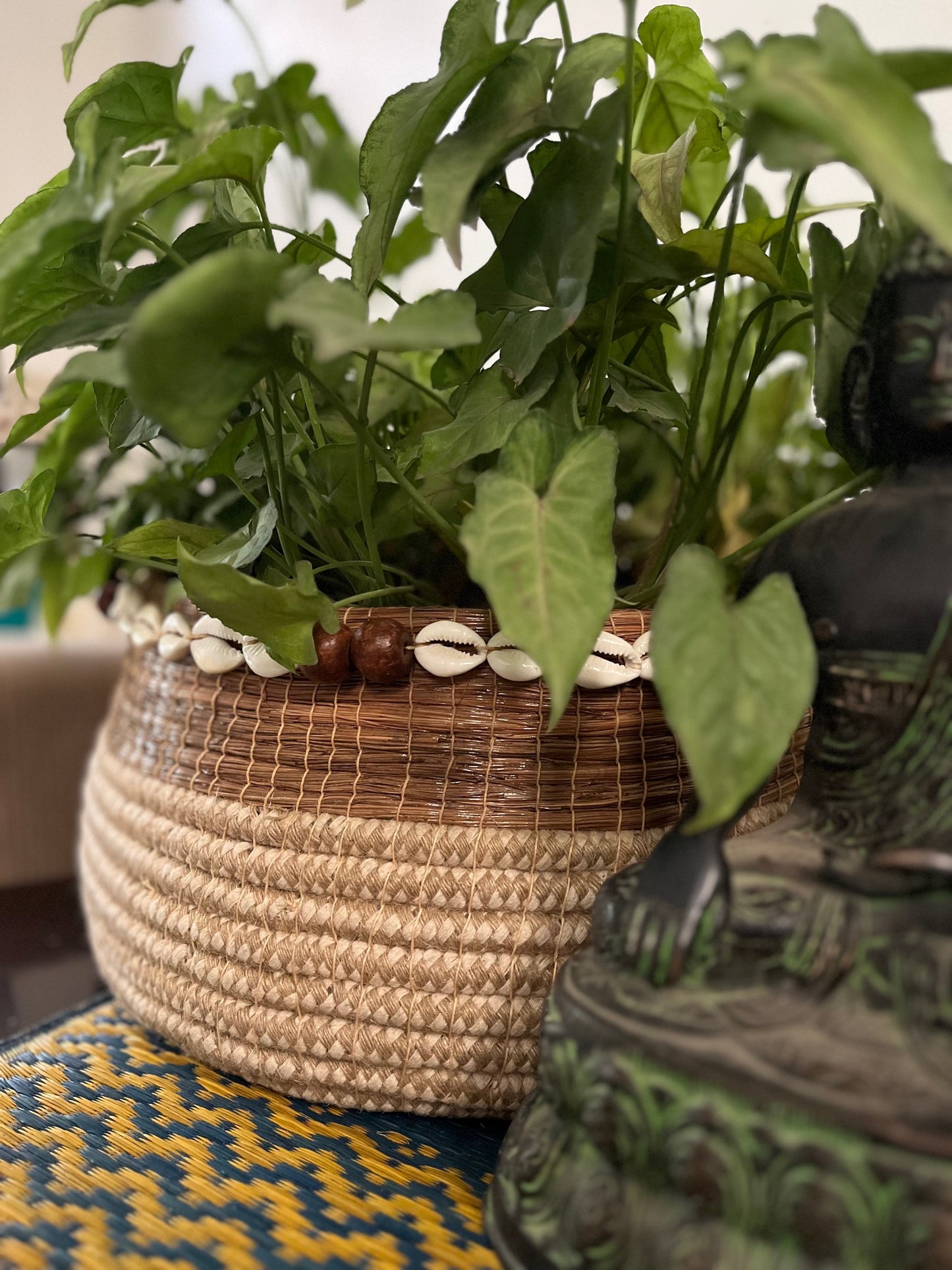 Bohemian Planter With Shells