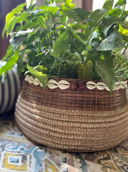 Bohemian Planter With Shells