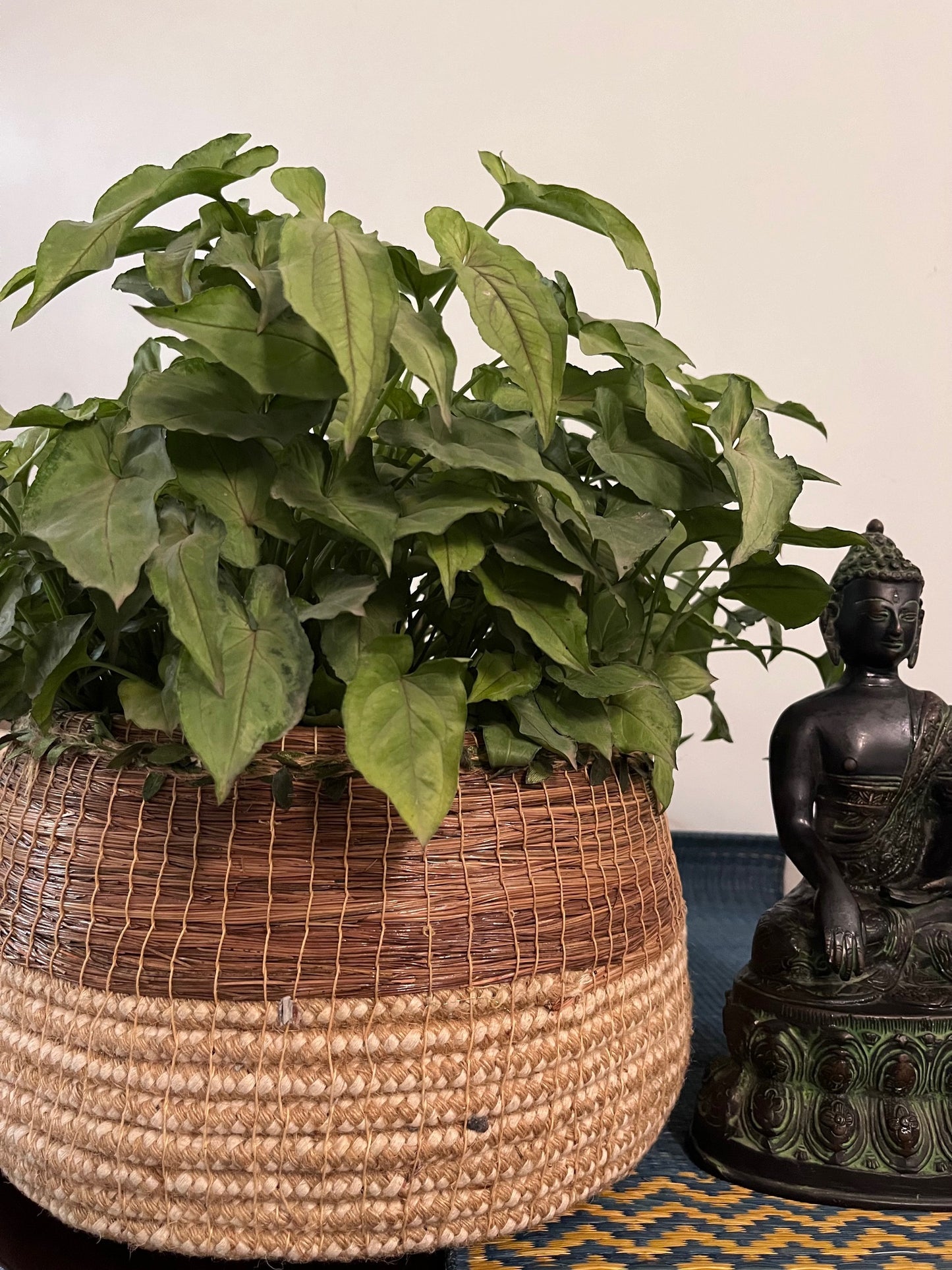 Bohemian Planter with Leafy Lace