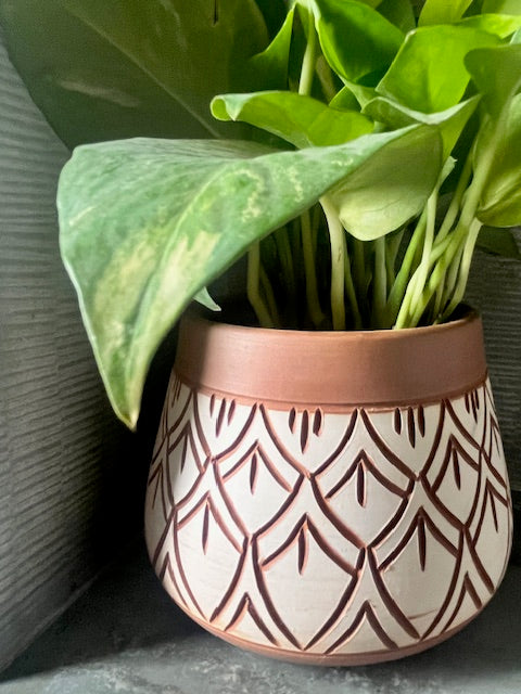 Terracota Planter