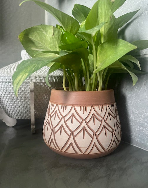 Terracota Planter