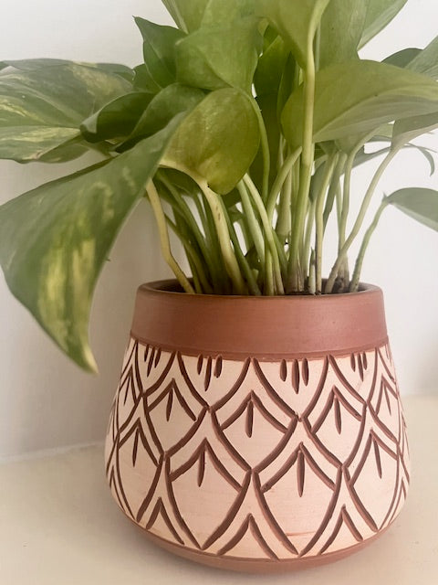 Terracota Planter