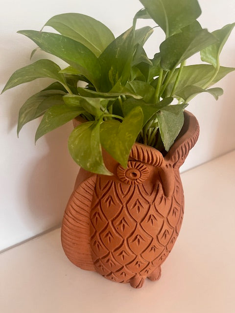 Medium Terracota Owl Planter