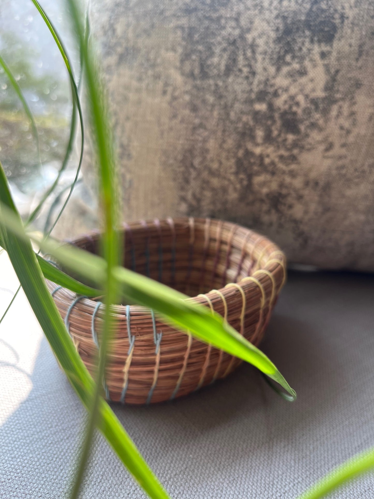 Pine Coasters