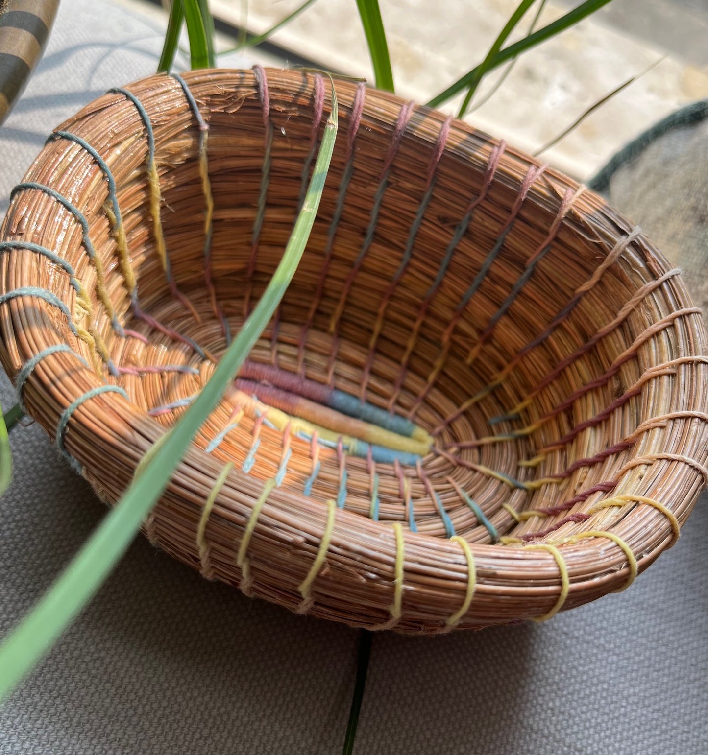 Pine Coasters