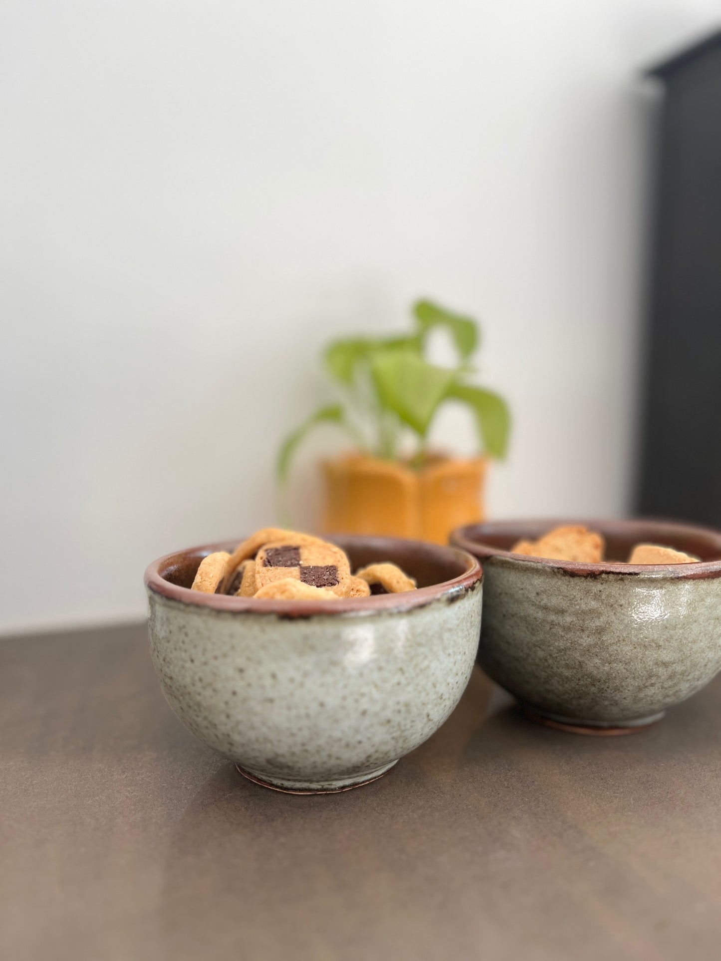 Ceramic  Bowls