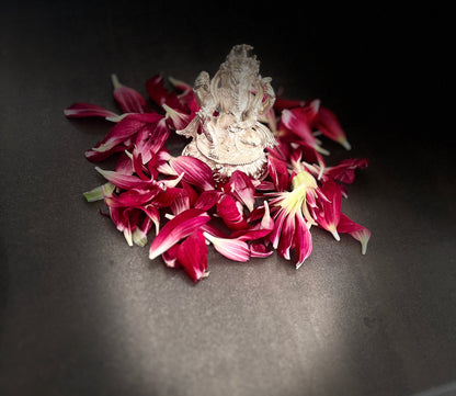 Silver Coated Copper Ganesha