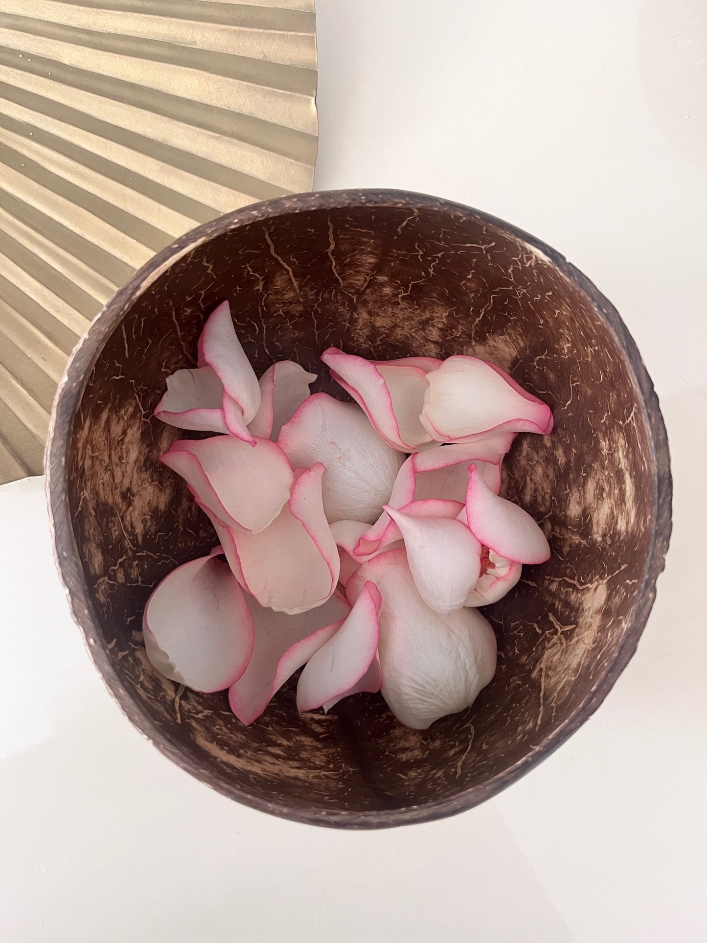 Leafy Coconut Shell Bowls