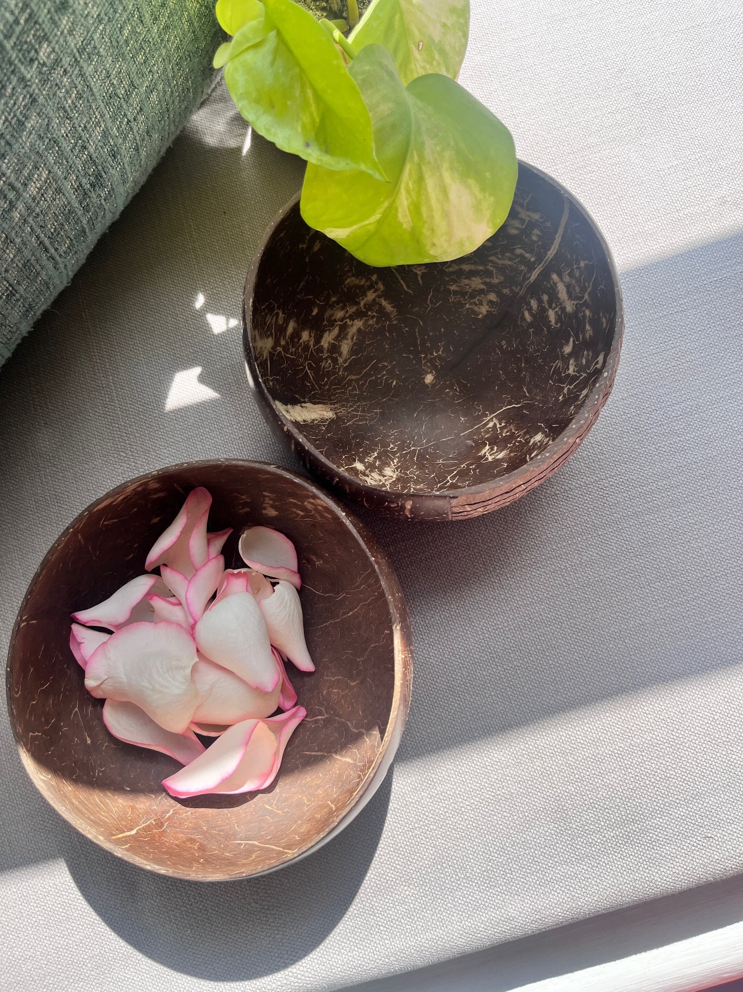 Leafy Coconut Shell Bowls